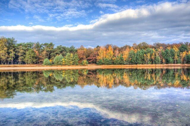 秋の湖の写真