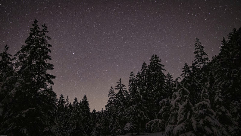 冬の星空